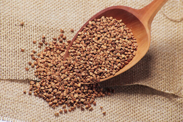 Top view of uncooked buckwheat grain seeds in the wooden spoon on the background of sackcloth