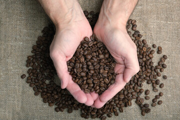 roasted coffee beans in the palms on a burlap background