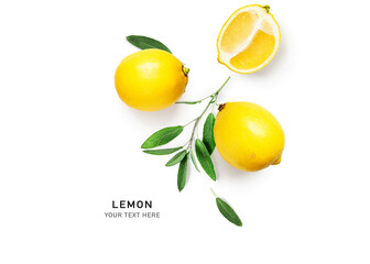 Lemon citrus fruits and sage leaves composition and creative layout.