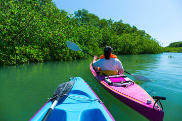 Kayaking, Mangrove, Puerto Jiménez, Golfo Dulce, Osa Peninsula, Costa Rica, Central America,...