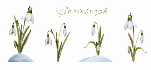 Watercolor illustrations with delicate flowers of snowdrops. Drawn by hand. Spring, Easter.