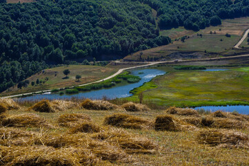 Fototapeta na wymiar Mown harvest, dried piles of grass and river.