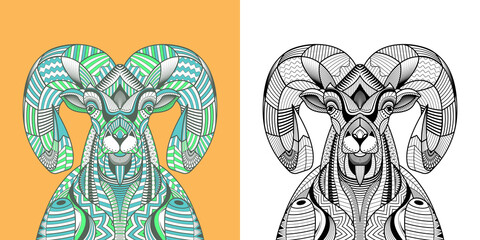 Coloring book The Big horn sheep head