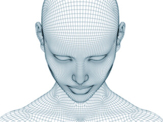 Human Face Wire Mesh