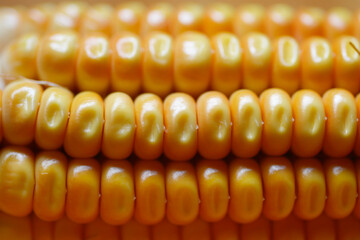 Corn detail