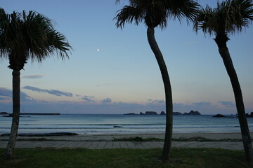  Kumano Beach at dusk in Tanegashima, Kagoshima, Japan - 鹿児島県 種子島 熊野海水浴場のヤシの木 夕方