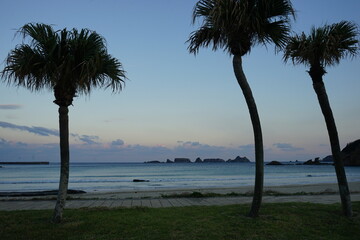  Kumano Beach at dusk in Tanegashima, Kagoshima, Japan - 鹿児島県 種子島 熊野海水浴場のヤシの木 夕方