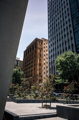 Obraz premium Buildings in the city