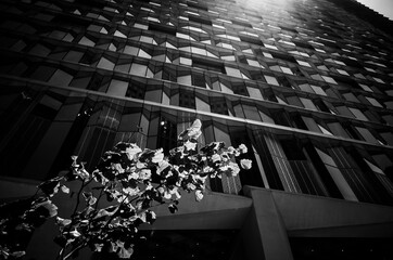 Black and white building exterior