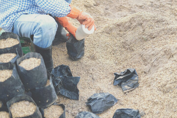 farmer pouring substrate materials for growing plant. soil fertilizer in planting bag for transplanting seedling