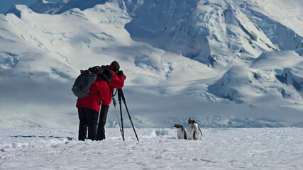 Tourism in Antarctica © Nina