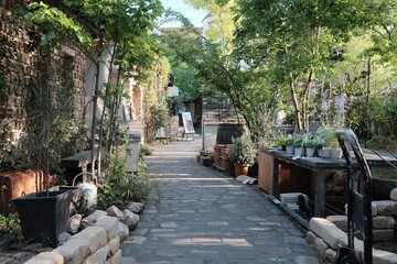 村02 © 隼人 新見