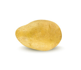 potato isolated on white background.