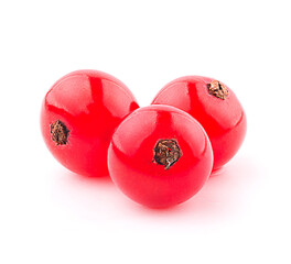 Red currant berries an isolated on White Background