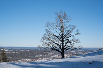 Fototapeta na wymiar Winterlandschaft bei Bad Tölz