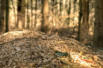 Pile of Wood Chipping