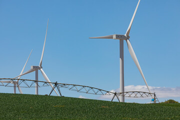 New wind turbines, recently installed in north of Spain, rotate with the wind over the corn fields,...