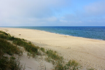 Sandy shore of the Baltic Sea
