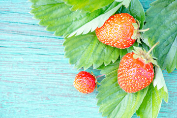 Red juicy garden strawberries on a wooden green table top view with place for text