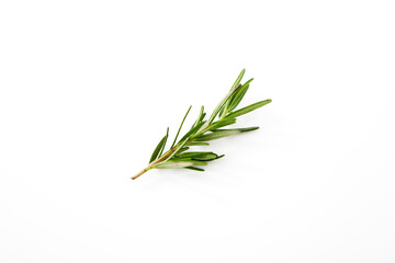 Fototapeta premium Fresh rosemary on white