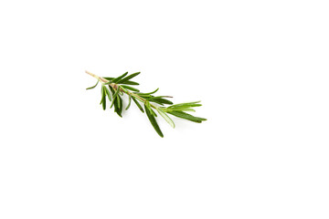 Naklejka premium Fresh rosemary on white