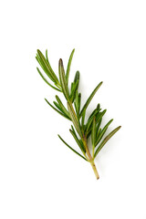Fresh rosemary on white