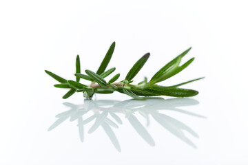 Fresh rosemary on white