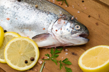 Raw rainbow trout marinated in fresh herbs and lemon ready for cooking on a wooden cutting board in close-up