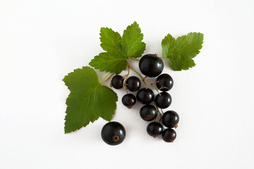 Fresh, nutritious and delicious black currant with leaves isolated on a white background