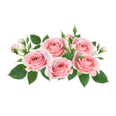 Bouquet of pink rose flowers isolated on white background. Design floral arrangements for textile, greeting card, invitations.