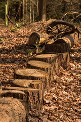 Pine Log Steps