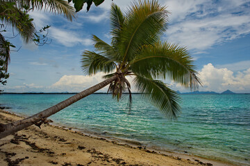 Fototapeta na wymiar Malaysia. Semporna. One of the many coral Islands covered with coconut palms along the East coast of Borneo.