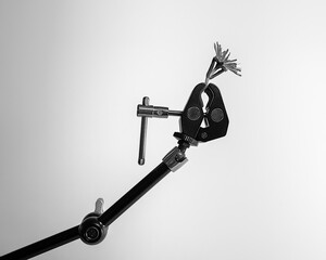 A clamp on an articulated mechanical arm holds up a flower, as if offering it to someone