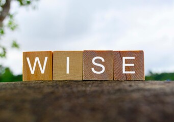 Wise text on wooden block on top of big stone with blurred background