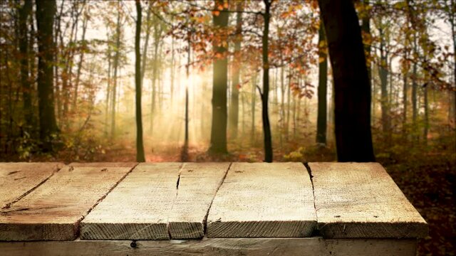 Empty wooden table background in autumn forest	