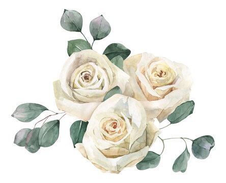 Watercolor hand drawn rose and eucalyptus bouquet. Perfect for invitation and social media.
