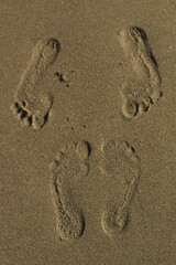 footprint in sand