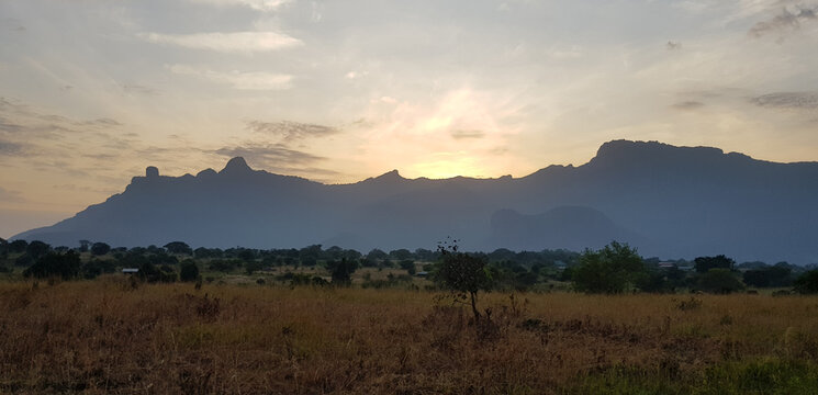 Mount Kadam (Kadama) in Uganda.
Kadam Central Forest Reserve