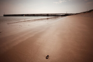 Sandy Beach and Pier