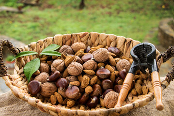 ein korb mit walnüssen, mandeln und maronen, blättern und einem nussknacker auf der terrasse mit gartenblick