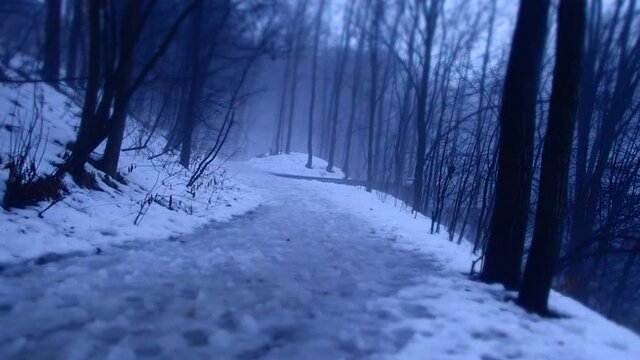 Un chemin enneig&eacute; dans la for&ecirc;t en hiver pendant une journ&eacute;e avec du brouillard