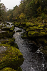 River Wharfe and The Strid
