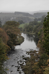 River Wharfe and The Strid