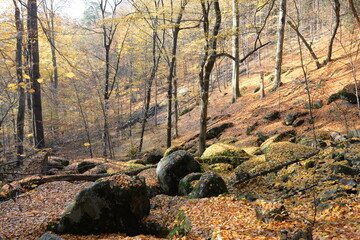 Vlci rokle - stonefall in beach forest during autumn