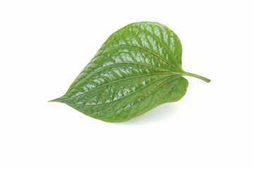 Betel leaves on white background