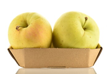 Two fresh yellow apples in a paper box, close-up, isolated on white.