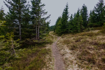 Fototapeta na wymiar narrow path while hiking in the mountains