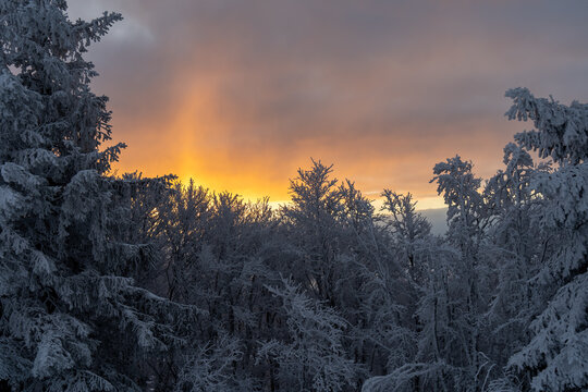 Belchen im Schwarzwald im Winter Sonnenaufgang