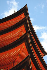 citt&agrave; ed animali