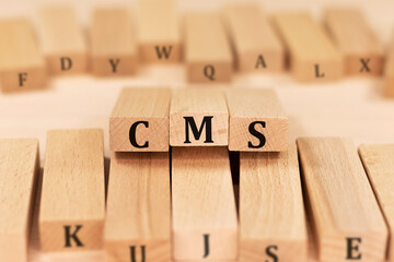 Word CMS Content Management System made with wood building blocks
